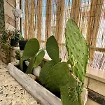 Priscio 3* Melendugno