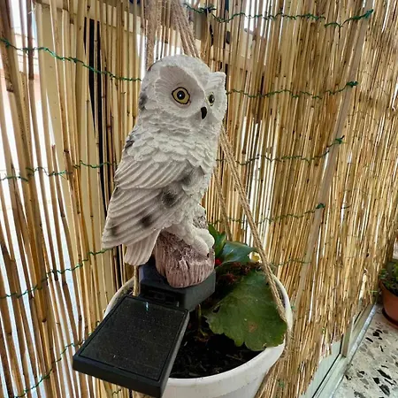 Priscio Bed and breakfast