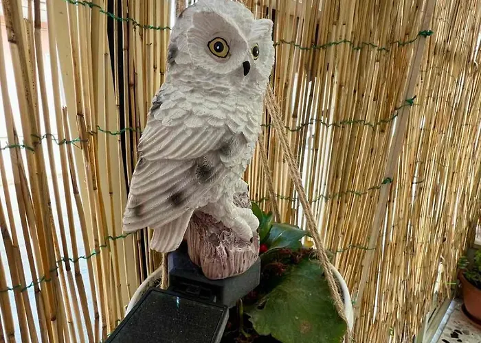 Priscio Bed & Breakfast